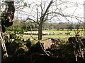 Sheep feeding time, Fox Hill