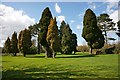 Former inmate cemetery, Central Hospital, Hatton