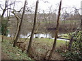 Walker Dam from South