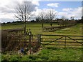 Footpath to Idlicote