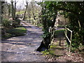 Footbridge at Grayswood