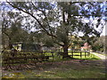 Driveway to large house near Grayswood