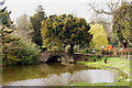 Lake at Chiswick House