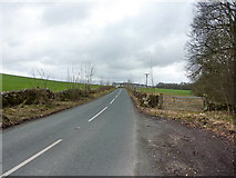 SD6545 : Road to Middle lees from Whitewell by Alexander P Kapp