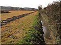 Ditch and field, How Ham Farm