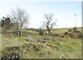 SN4632 : Farm ruin beside Nant Alltwalis on Mynydd Rhos-Wen by Nigel Davies