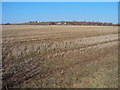 Stubble field near the A449