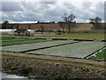 Abbotts Ann - Watercress Beds