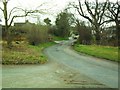 J1035 : Buskhill Road, Donaghmore by Dean Molyneaux