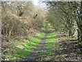 Footpath on railway trackbed towards Thornley