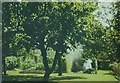 Part of garden of Appledore, 35 Montague Road, Berkhamsted in 1965