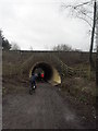 Tunnel under the A6