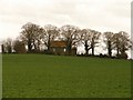 St Andrews Church, Hannah