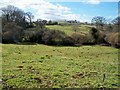 Warwickshire Farmland