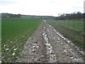 Footpath to Great Doney Wood