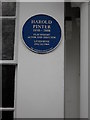 Blue plaque in Ambrose Place