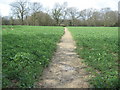 Footpath to Woodchurch