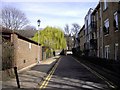 Willow tree in Moravain Place Chelsea