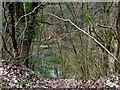 Dowles Brook emerging from under former railway line