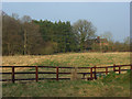 Pasture and woodland, Kintbury