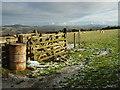 T1384 : Ballyshane townland, County Wicklow by Sarah777