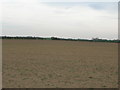 Farmland, East Carlton