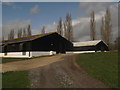 Poultry Houses in Horsemarsh Farm