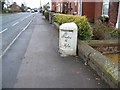 Milestone near Barton