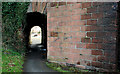 Railway bridge, Derriaghy station