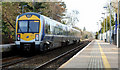 Train, Derriaghy station (3)