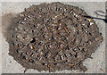 J2867 : Brown's manhole cover, Derriaghy by Albert Bridge