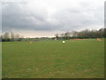 Cricket pitch within Deddington Rec