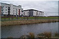 Pond in Clyde View Park