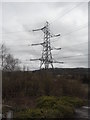 Pylon off Middlewood Way, Cheshire