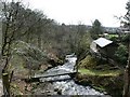 Looking down the glen