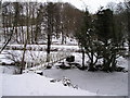 Foot bridge over Afon Carno