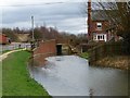 Chesterfield Canal approaching Shireoaks