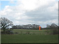 Grass Airstrip behind Little Engeham Farm