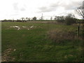 Footpath and bridleway junction near Great Engeham Manor