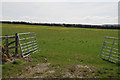 Field above the Afon Peris