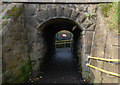 Railway bridge, Dunmurry (3)