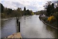 The River Thames looking downstream from Boulter