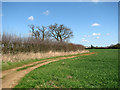 TG0304 : Cereal fields west of Gresham Farm by Evelyn Simak