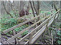 Collapsed Bridge over Brook in Tom Wood