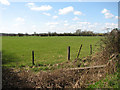 Pastures east of Pond Farm