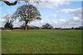 Pasture near Sound Lane railway bridge