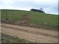 Footpath meets track