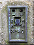 C4416 : Bench Mark 3339, Derry / Londonderry by Kenneth  Allen