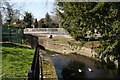 Carshalton:  River Wandle