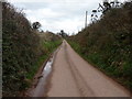 Mid Devon : Country Road